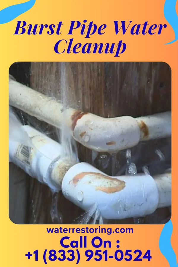 Burst Pipe Water Cleanup in Port Clinton, OH