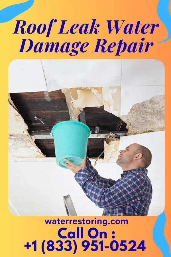 Roof Leak Water Damage Repair in Port Clinton, OH