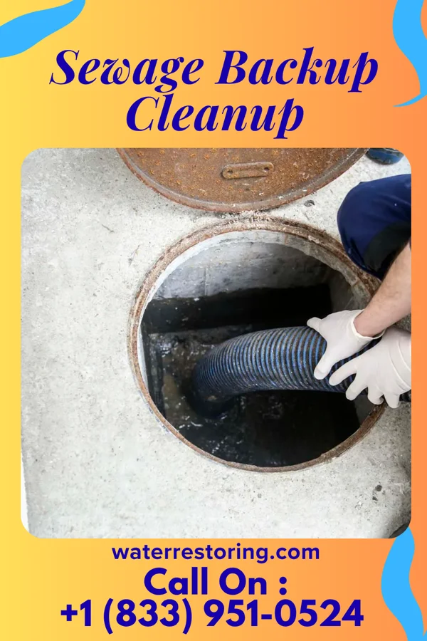 Sewage Backup Cleanup in Port Clinton, OH